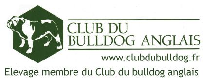 MEMBRE DU CLUB BULLDOG ANGLAIS