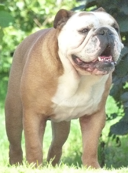 Photos Bullys